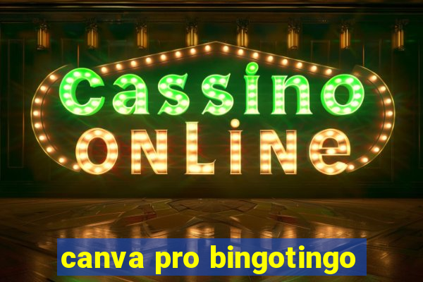 canva pro bingotingo